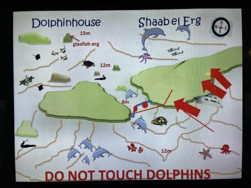 Diving Map of Dolphin site