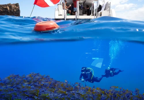 The Garmin communications buoy that was used for some training with #tridentwarriors during the scuba trip to Indonesia in 2025 to support veterans