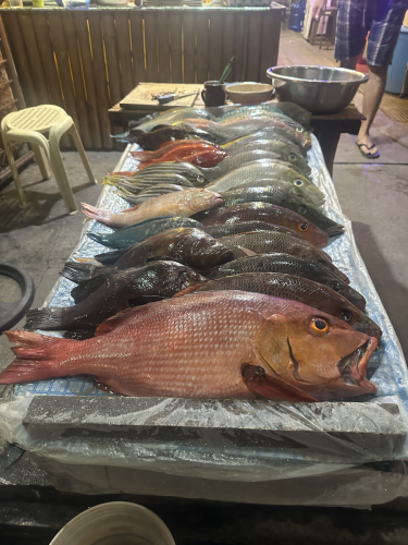 Checking out some local fish at the market while on the 2025 scuba diving trip to the Philippines with Trident Warriors